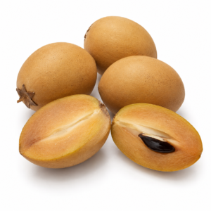 sri kembangan sapodilla ( manilkara zapota )