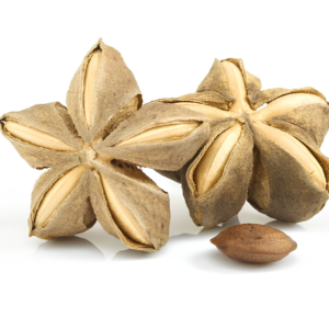 sacha inchi nuts (plukenetia volubilis) 50 seeds