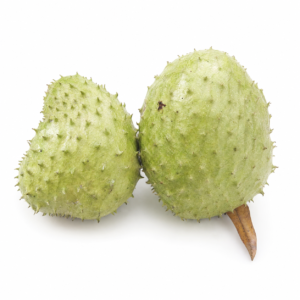 bali soursop (annona muricata)