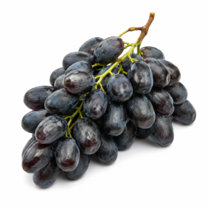 giovanni grape (vitis vinifera)