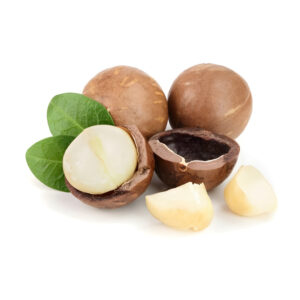 macadamia nuts (macadamia integrifolia)