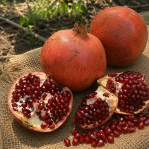 kazake pomegranate seeds (punica granatum) red pomegranate seedss
